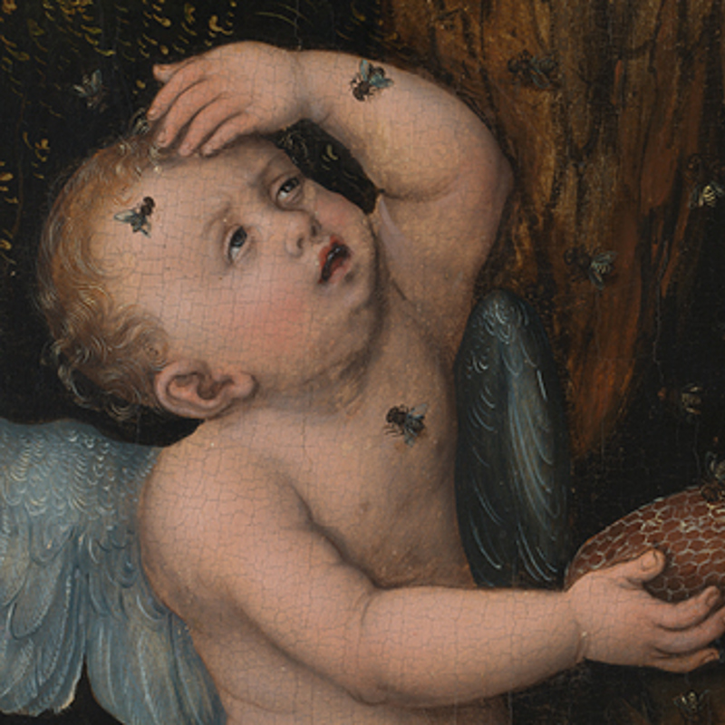 Why is this little angel covered in bees?