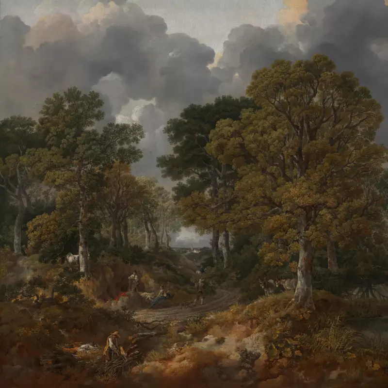 Cornard Wood, near Sudbury, Suffolk