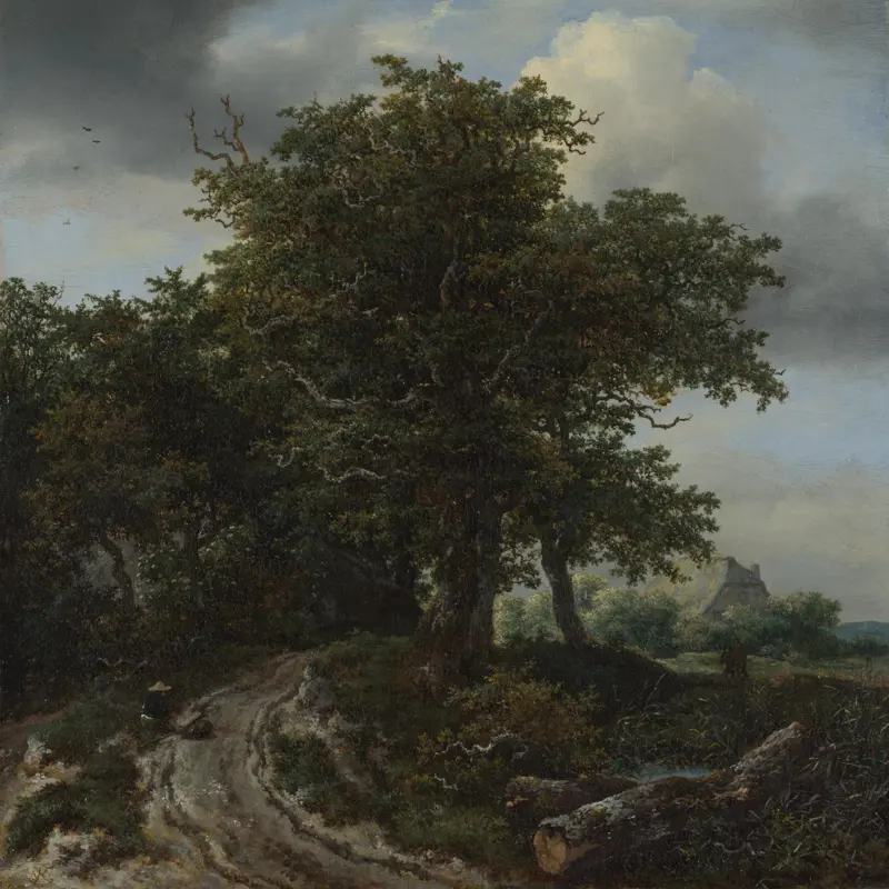 A Road winding between Trees towards a Distant Cottage