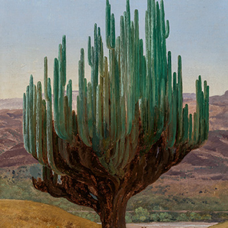 Introduction to José María Velasco